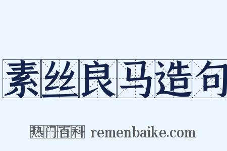 素丝良马造句是什么意思的图片